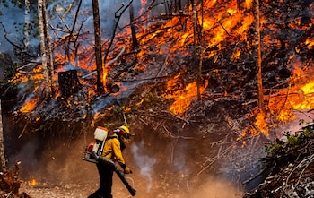 Las estadísticas oficiales ubican a Guatemala, Quiché, Sacatepéquez y Petén entre los departamentos con mayor incidencia de incendios forestales.