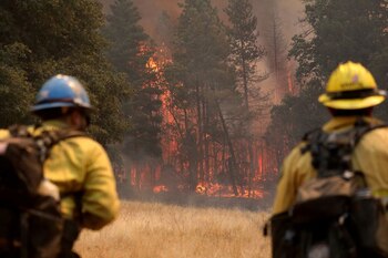 La tecnología satelital usada para detectar incendios antes de llamadas al 911 provee una vista aérea de incendios en desarrollo. (REUTERS/David Swanson)