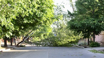 El Servicio Meteorológico Nacional emitió