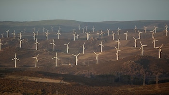 España puede alcanzar el 100% de producción de energía renovable 10 años antes que el resto de Europa