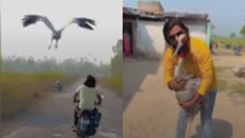 Video: un granjero exige a