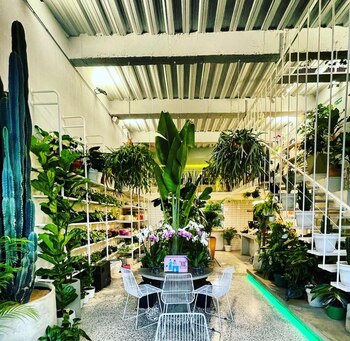 Este lugar también ofrece este