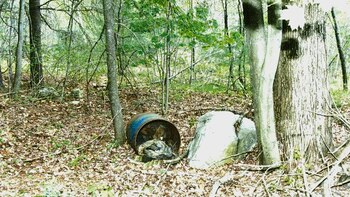 La siniestra trayectoria de un asesino serial hasta los crímenes de Bear Brook: un caso que desconcertó por décadas