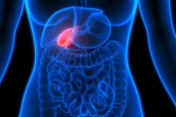 Al mejorar la función biliar