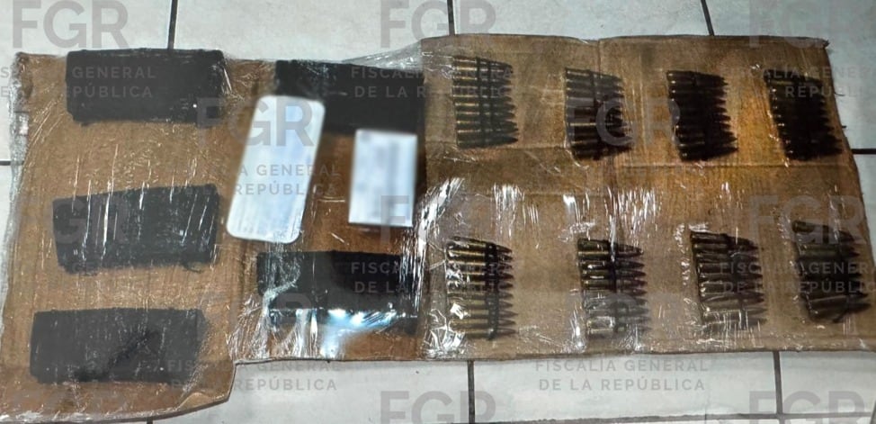 Pasará más de 13 años en prisión (FGR)