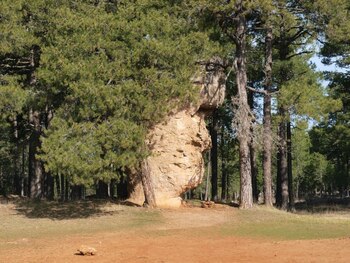 Una de las rocas más