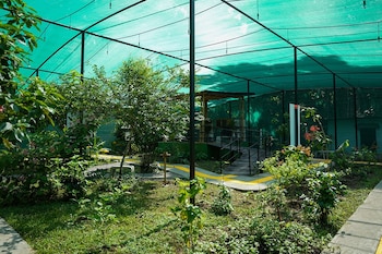 El Refugio del Bosque Tropical integra un vivero, un invernadero y un mariposario para fortalecer la conservación de la biodiversidad dentro del Parque Natural Metropolitano. Tomada de MiAmbiente