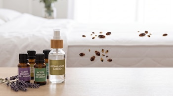 Frascos de aceites esenciales, un atomizador, flores de lavanda y varias chinches de cama ilustradas sobre un colchón blanco.