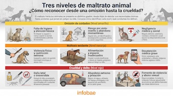 Infografía detallando tres niveles de maltrato animal con dibujos que muestran perros, gatos y un caballo en situaciones de abandono, agresión y negligencia.