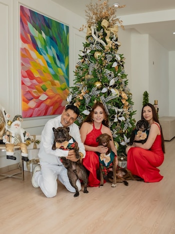 Navidad 2025 en la farándula