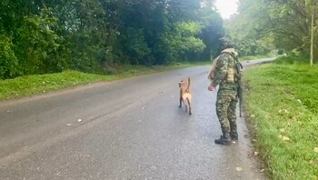 Militarización focalizada busca contener el