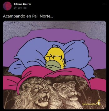 (Foto: captura de pantalla de