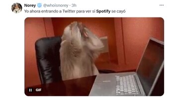 Memes por la caída de