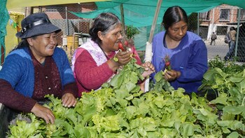 Las mujeres rurales pierden un