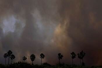 El humo de un incendio se eleva en el aire en el Pantanal, el humedal más grande del mundo, en Corumbá, estado de Mato Grosso do Sul, Brasil (REUTERS/Ueslei Marcelino)
