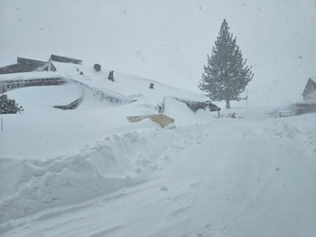 Ante el pronóstico de más
