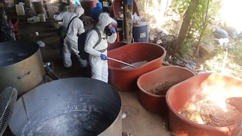 Laboratorio clandestino con 300 kilos