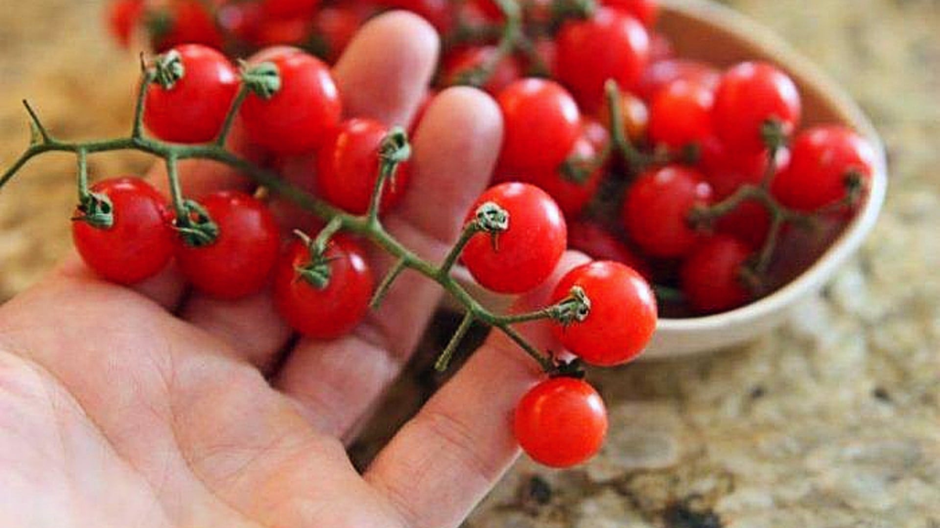 Miércoles: Manzana con jitomate