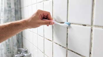 Una mano sostiene un cepillo de dientes y frota las juntas con moho de una pared de azulejos blancos.
