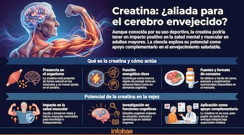 Infografía sobre la creatina. Muestra un hombre mayor, cerebro y músculo con energía, ilustraciones de fuentes de creatina, función y beneficios en la vejez.