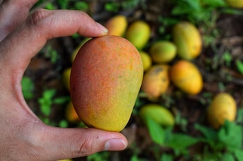 La temporada fría puede dejar