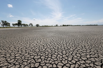 Una vista general del casi