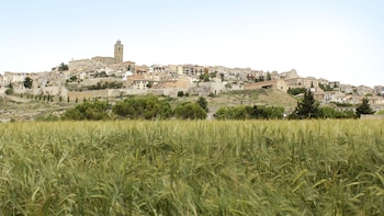 El pueblo de Lleida que es el corazón monumental de Cataluña: una universidad, murallas y la creación de la Generalitat