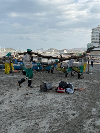 La jornada de recolección de