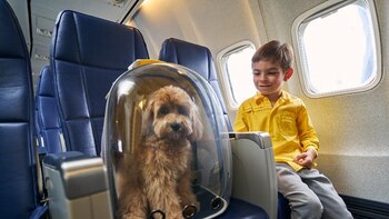 Dictaron nuevas normas para ingresar