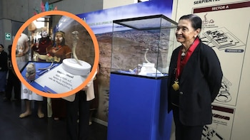 Vichama revela nuevos secretos: seis objetos de hace 3.800 años permiten conocer sus símbolos frente a los cambios ambientales