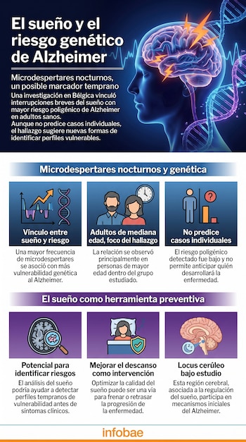 Infografía con ilustraciones de un cerebro, cadenas de ADN, personas durmiendo, una lupa, gráficos y texto sobre el sueño y el Alzheimer.