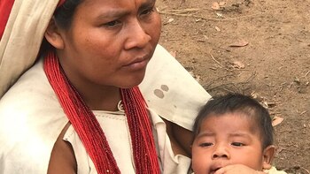 Tratamiento de los niños kogui