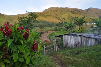 Vereda Llano Grande, en Dabeiba,