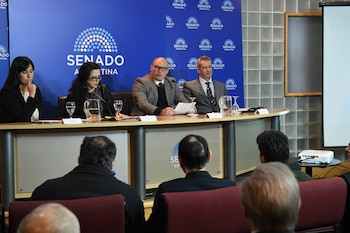 Senado - panel territorio y población