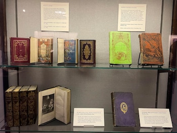 Se exponen hasta el día