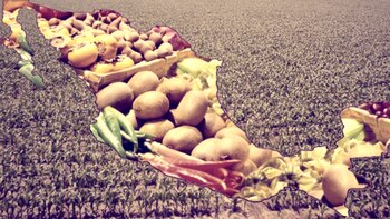 Organizaciones civiles presentan propuestas al