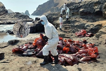 Derrame de petróleo: conoce cómo