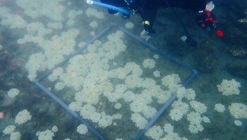 Imagen 7T6QYGIE5FDBJFPFN6W563CZDM