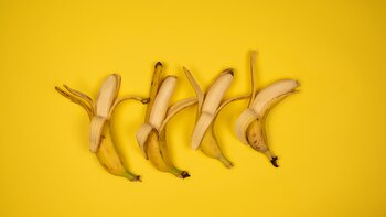 Cómo los humanos lograron hacer