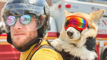 Un influencer que recorre Nueva York con perros de refugio en su mochila y logra adopciones en solo dos días