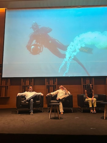 SEI, la ballena desconocida se