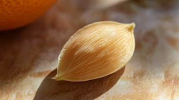 Las mandarinas y clementinas, como