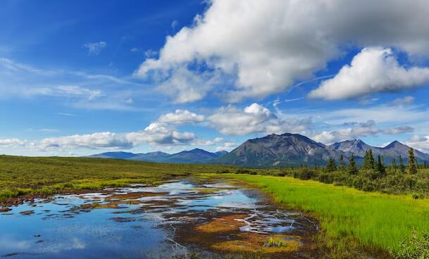 El equipo científico analiza la capacidad de los humedales recientes para retener carbono y mitigar los efectos del calentamiento global (Freepik)