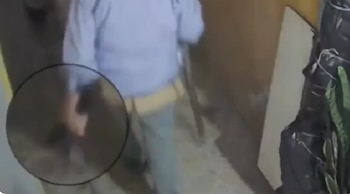 Las cámaras de seguridad registraron el momento durante la madrugada del 6 de agosto y el material provocó indignación en redes.