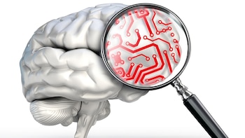 El líquido cefalorraquídeo (LCR) es