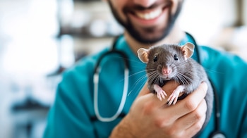 El aumento de mascotas exóticas