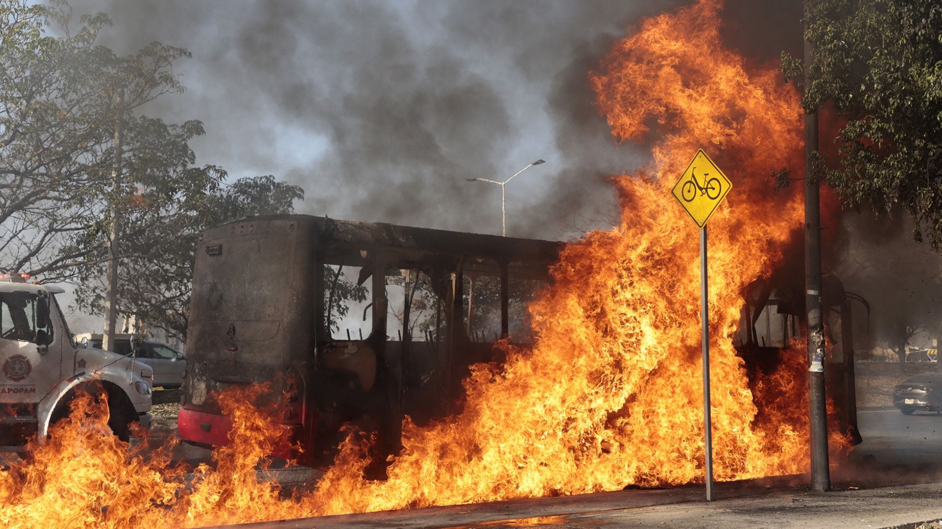 Ésta es la razón por la que Guanajuato es zona de interés para los cárteles de drogas - Infobae
