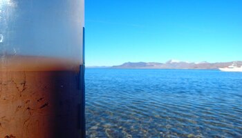 15-06-2021 Hacer comida de ADN