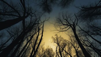 La luna muestra una parte