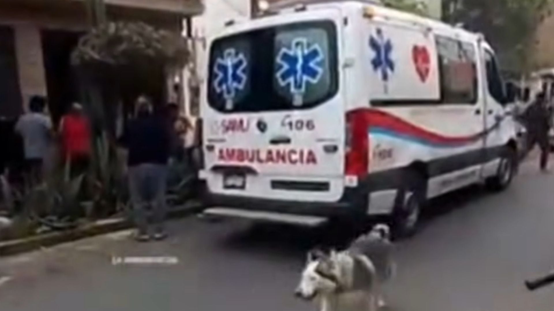 Muestras fueron enviadas a Lima para descartar un posible envenenamiento y establecer qué provocó la emergencia - Créditos: Captura de pantalla de Latina.